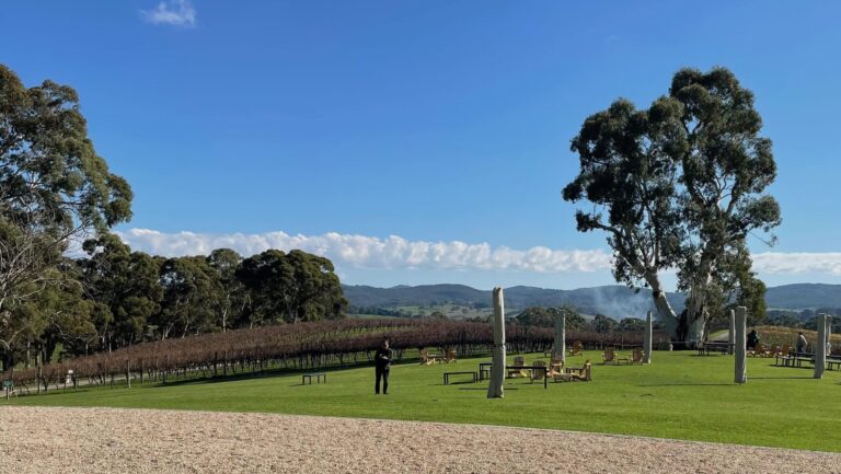 Adelaide Hills Vineyards