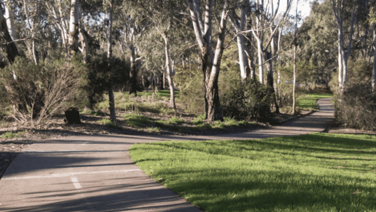 River Torrens Linear Park