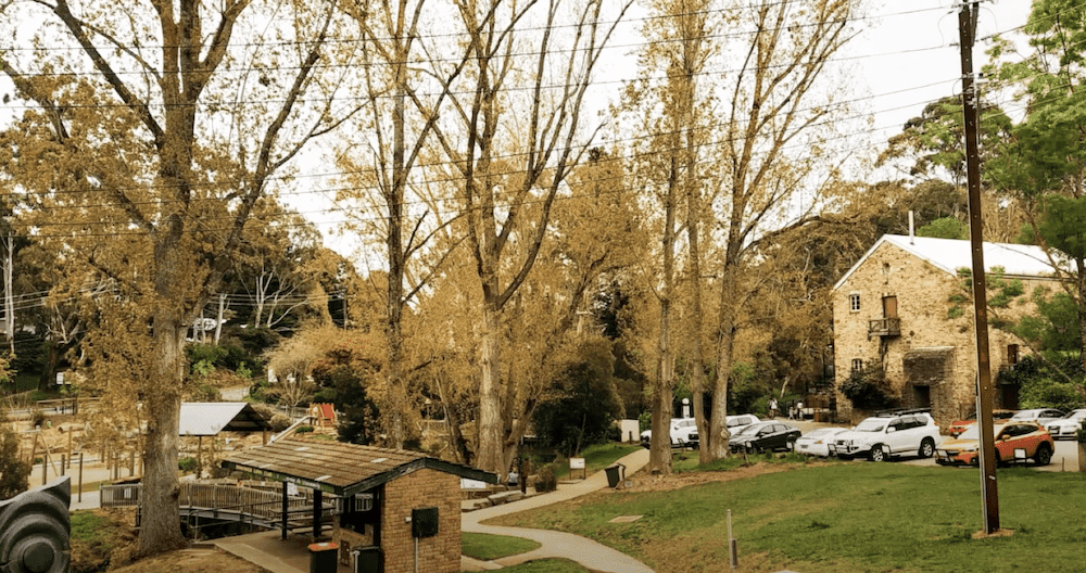 Town of Bridgewater Mill