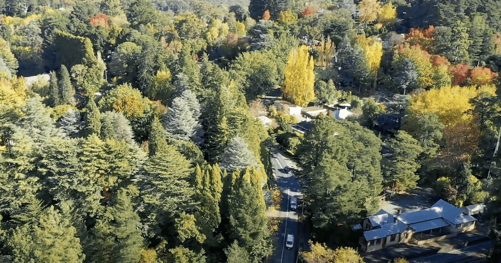 Stirling, the first town into Adelaide Hills