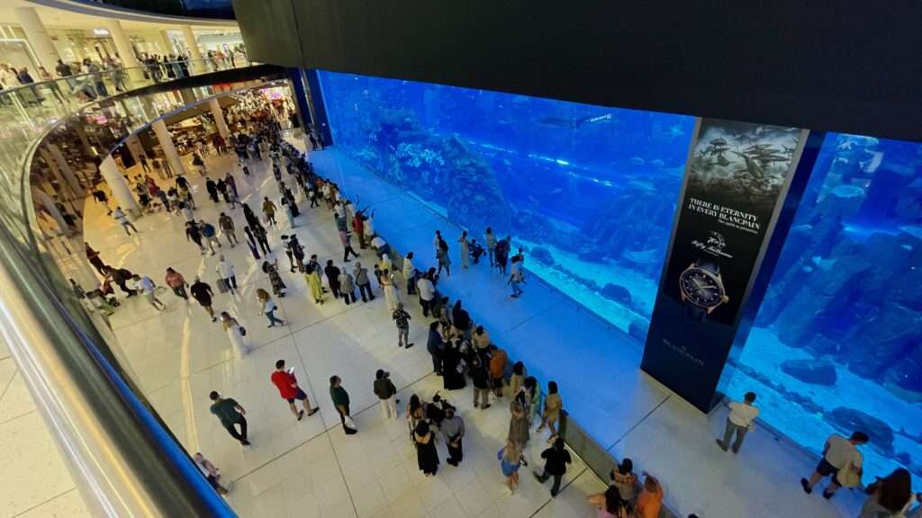 Dubai Mall Acquarium