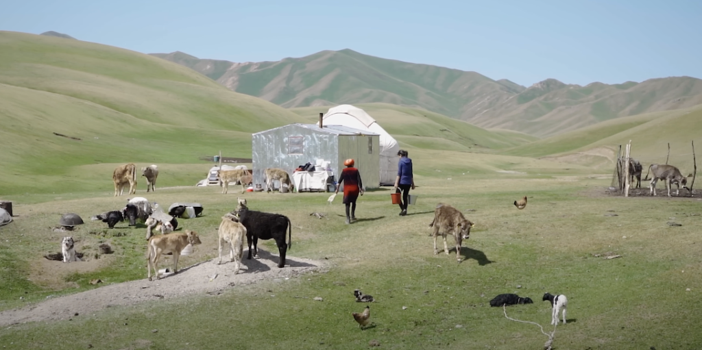 Nomads in, Kyrgyzstan Central Asia